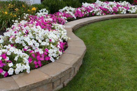 Hardscaping vs. Softscaping: What They Are And How Both Benefit Your Property Thumbnail