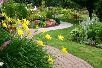 Garden Maintenance and Renewal